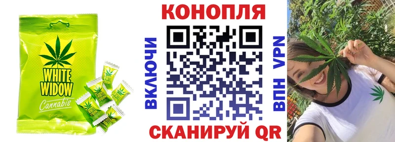 Canna-Cookies конопля  Купить где  Ветлуга 