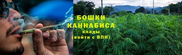 гидра Бронницы