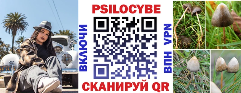 Галлюциногенные грибы Psilocybine cubensis  Купить  Ветлуга 